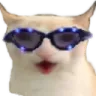 catchest catchest