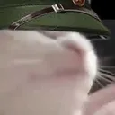 d731be2f3f16ee0c8e61223412db270f