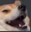 emoji_64