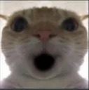 OMG_FR