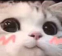 catBlush Discord emoji