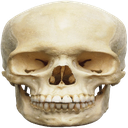 DSkull2 Discord emoji