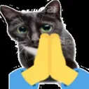 Praying_Gatto Praying_Gatto