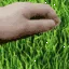 touchgrass