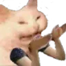 whycat