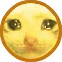 catcoin