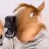 ajihorseExcitedClap
