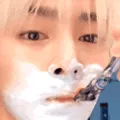 ajeonginshave