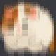 RollingCat