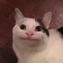 smilecat