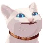popcat
