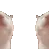catkiss