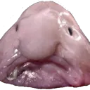 sadfish sadfish