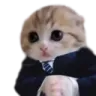 catBusiness