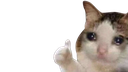 catthumbsup
