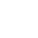 TRIBE