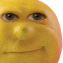 funnylemon