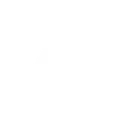 FX
