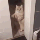im_outta_here