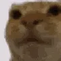 uwot