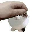 wawapet