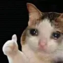 cat_thumbs_up
