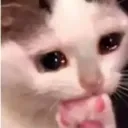 cry