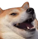 lul