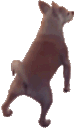 DogTwerk Discord emoji