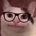 BelugaCatwithGlasses Discord Emoji