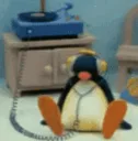 pingu_vibing