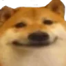 DogSmile
