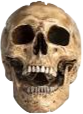 skull Discord emoji