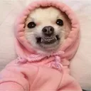 848d26a0e172a5ee5d90995c4e23c689