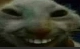 xdd Discord emoji