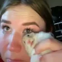 hamstertissue