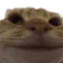 mmmmmmm