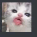 cat Discord Emoji