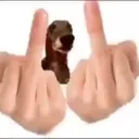 O_i