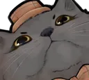 aeTokyoCatJudge