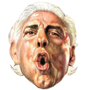 RicFlair Discord emoji