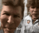 bog