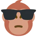 coolmonkey