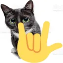 rockoncat