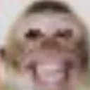 Gerald