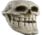 Trollskull trollskull Discord Emoji