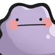 pk_ditto_stare