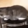 acat_9
