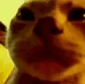 acat_25