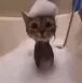 ch_bath